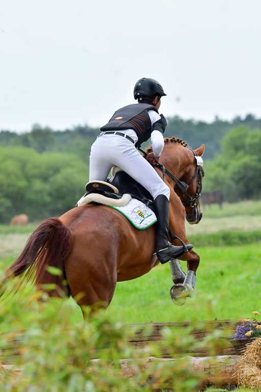 Goldene Schärpe Pferde  in Löningen  11+12.6.22 | 11062022 - Gelände 513 Abt 