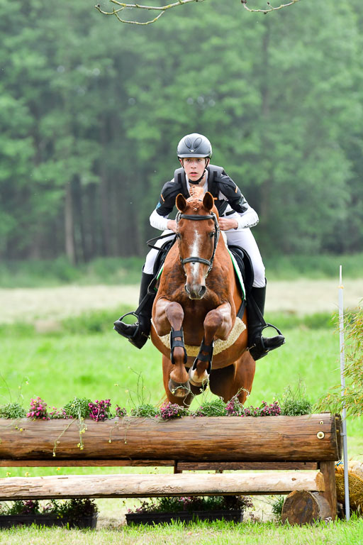 Goldene Schärpe Pferde  in Löningen  11+12.6.22 | 11062022 - Gelände 514 Abt 
