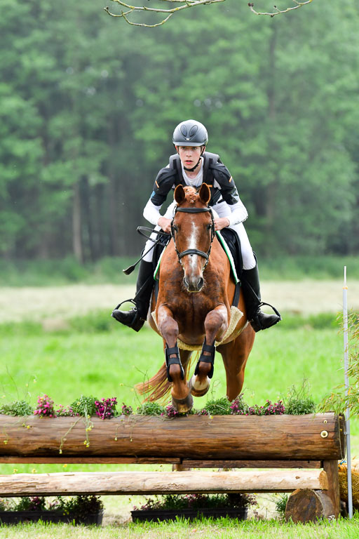 Goldene Schärpe Pferde  in Löningen  11+12.6.22 | 11062022 - Gelände 515 Abt 