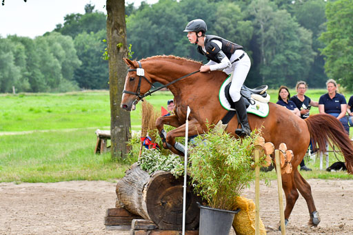 Goldene Schärpe Pferde  in Löningen  11+12.6.22 | 11062022 - Gelände 520 Abt 