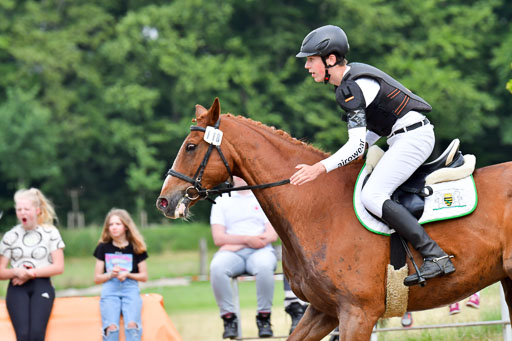 Goldene Schärpe Pferde  in Löningen  11+12.6.22 | 11062022 - Gelände 523 Abt 