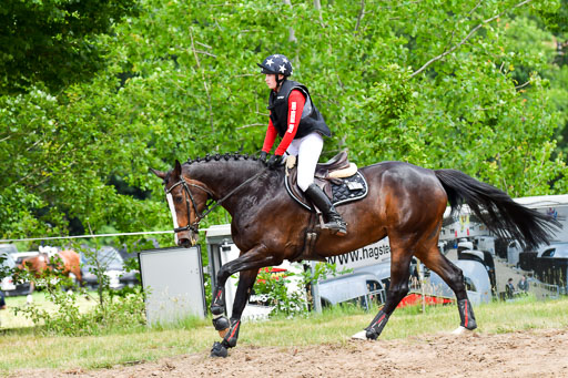 Goldene Schärpe Pferde  in Löningen  11+12.6.22 | 11062022 - Gelände 525 Abt 