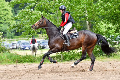 Goldene Schärpe Pferde  in Löningen  11+12.6.22 | 11062022 - Gelände 526 Abt 