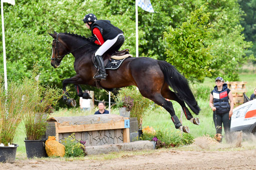 Goldene Schärpe Pferde  in Löningen  11+12.6.22 | 11062022 - Gelände 527 Abt 