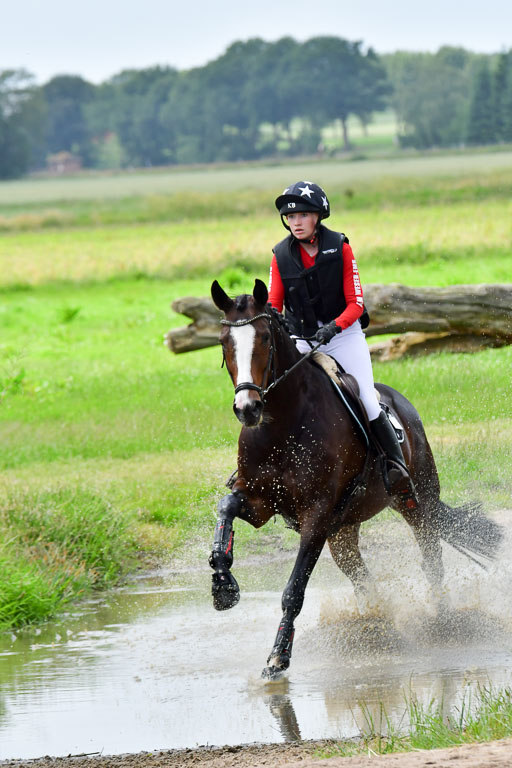 Goldene Schärpe Pferde  in Löningen  11+12.6.22 | 11062022 - Gelände 529 Abt 