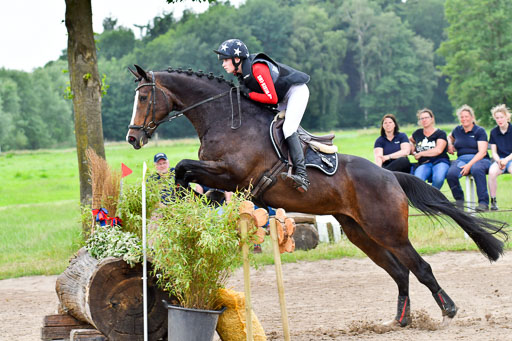Goldene Schärpe Pferde  in Löningen  11+12.6.22 | 11062022 - Gelände 538 Abt 