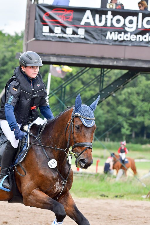 Goldene Schärpe Pferde  in Löningen  11+12.6.22 | 11062022 - Gelände 542 Abt 