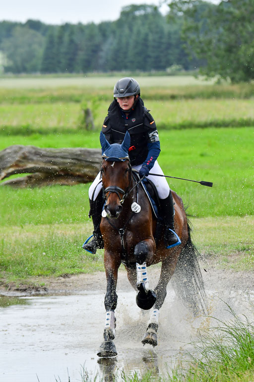 Goldene Schärpe Pferde  in Löningen  11+12.6.22 | 11062022 - Gelände 547 Abt 