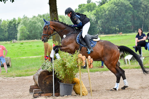 Goldene Schärpe Pferde  in Löningen  11+12.6.22 | 11062022 - Gelände 555 Abt 