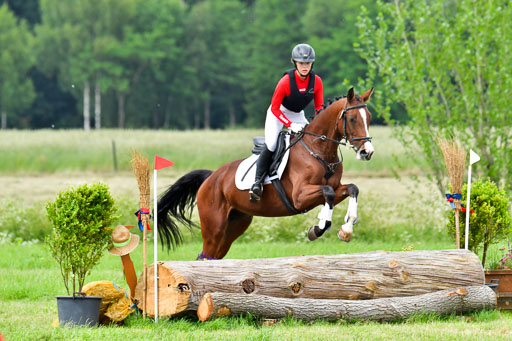 Goldene Schärpe Pferde  in Löningen  11+12.6.22 | 11062022 - Gelände 558 Abt 