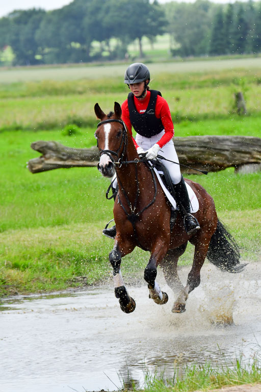 Goldene Schärpe Pferde  in Löningen  11+12.6.22 | 11062022 - Gelände 563 Abt 