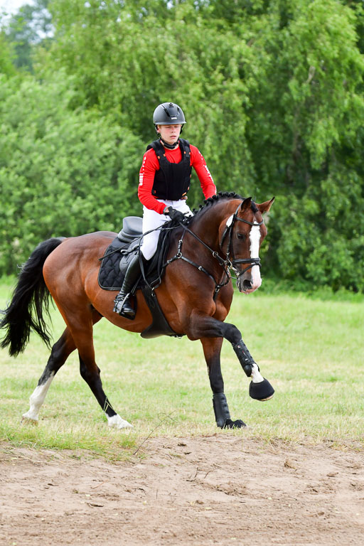 Goldene Schärpe Pferde  in Löningen  11+12.6.22 | 11062022 - Gelände 576 Abt 