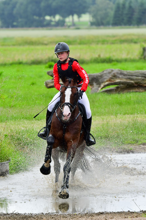 Goldene Schärpe Pferde  in Löningen  11+12.6.22 | 11062022 - Gelände 588 Abt 