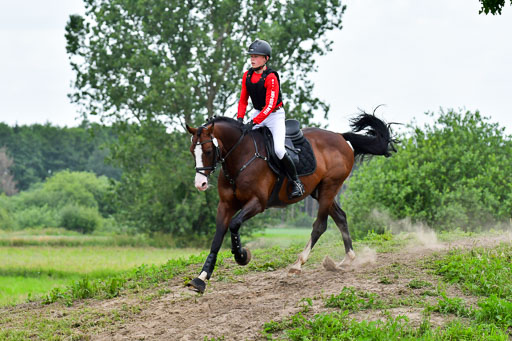 Goldene Schärpe PFerde  in Löningen  11+12.6.22 | 11062022 - Gelände 598 Abt 