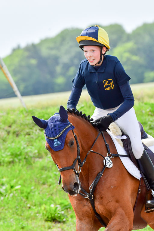 Goldene Schärpe PFerde  in Löningen  11+12.6.22 | 11062022 - Gelände 701 Abt 