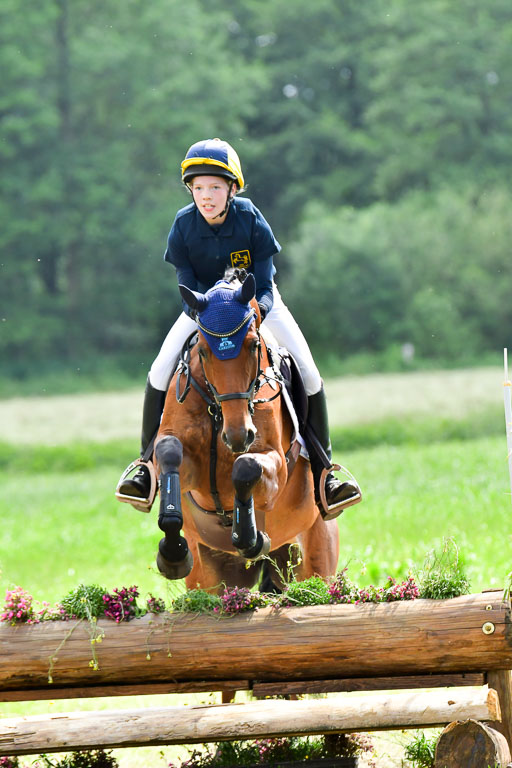 Goldene Schärpe PFerde  in Löningen  11+12.6.22 | 11062022 - Gelände 702 Abt 