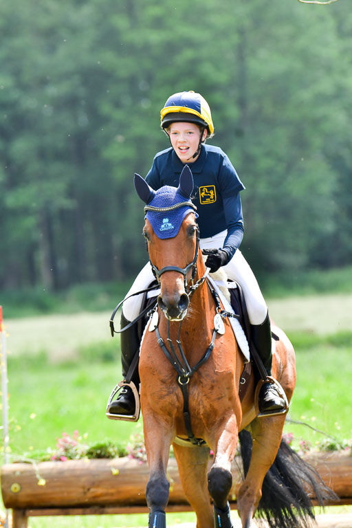 Goldene Schärpe PFerde  in Löningen  11+12.6.22 | 11062022 - Gelände 705 Abt 