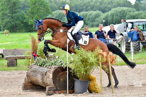 Goldene Schärpe PFerde  in Löningen  11+12.6.22 | 11062022 - Gelände 708 Abt 