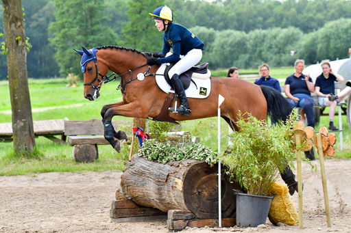 Goldene Schärpe PFerde  in Löningen  11+12.6.22 | 11062022 - Gelände 709 Abt 