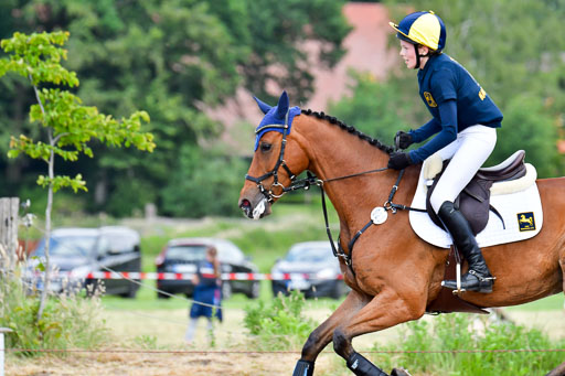Goldene Schärpe PFerde  in Löningen  11+12.6.22 | 11062022 - Gelände 710 Abt 