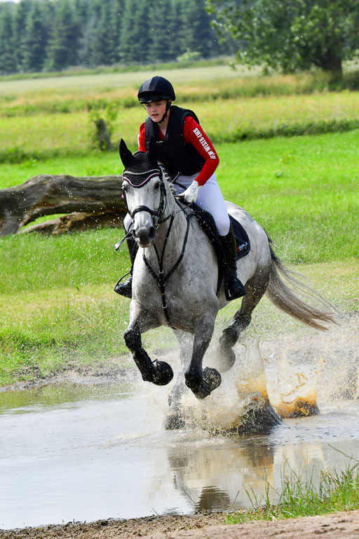 Goldene Schärpe PFerde  in Löningen  11+12.6.22 | 11062022 - Gelände 718 Abt 