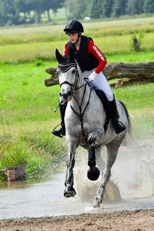Goldene Schärpe PFerde  in Löningen  11+12.6.22 | 11062022 - Gelände 721 Abt 