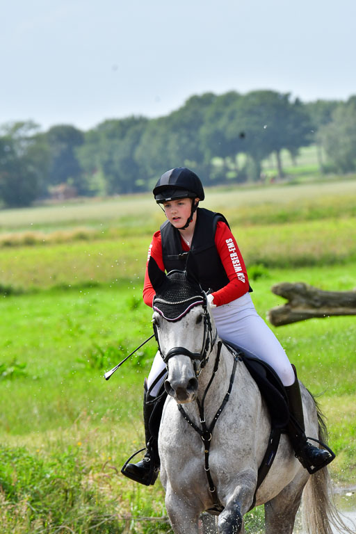 Goldene Schärpe PFerde  in Löningen  11+12.6.22 | 11062022 - Gelände 722 Abt 