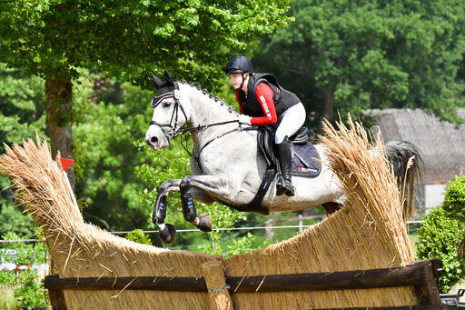 Goldene Schärpe PFerde  in Löningen  11+12.6.22 | 11062022 - Gelände 734 Abt 