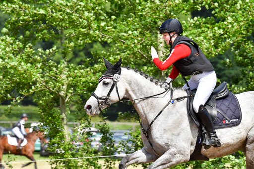 Goldene Schärpe PFerde  in Löningen  11+12.6.22 | 11062022 - Gelände 736 Abt 