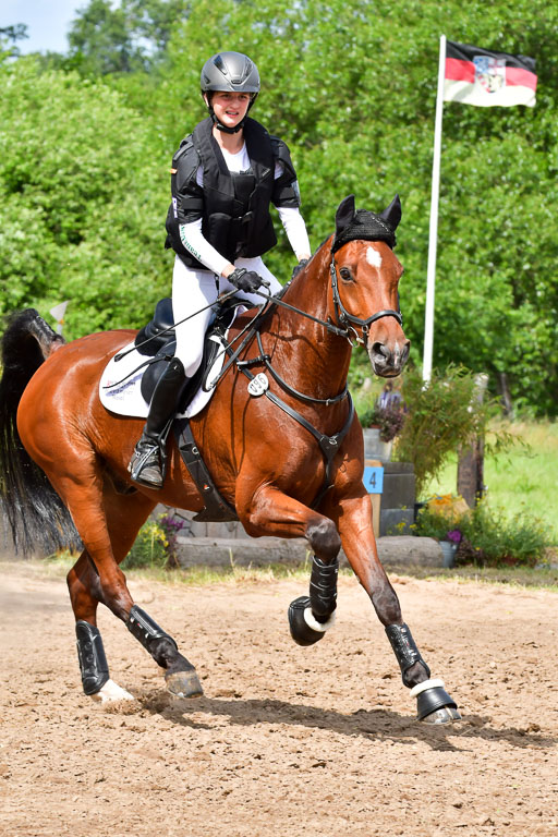 Goldene Schärpe PFerde  in Löningen  11+12.6.22 | 11062022 - Gelände 740 Abt 