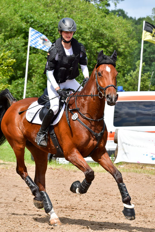 Goldene Schärpe PFerde  in Löningen  11+12.6.22 | 11062022 - Gelände 741 Abt 