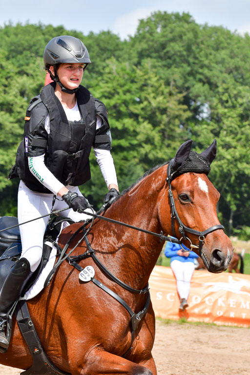 Goldene Schärpe PFerde  in Löningen  11+12.6.22 | 11062022 - Gelände 742 Abt 