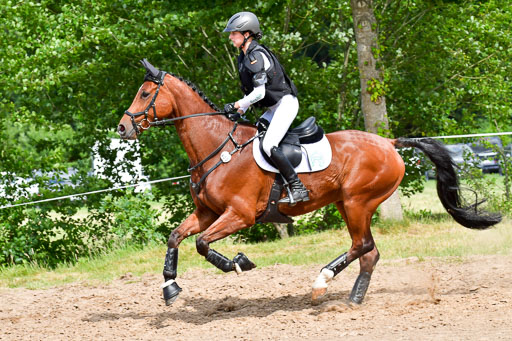 Goldene Schärpe PFerde  in Löningen  11+12.6.22 | 11062022 - Gelände 743 Abt 