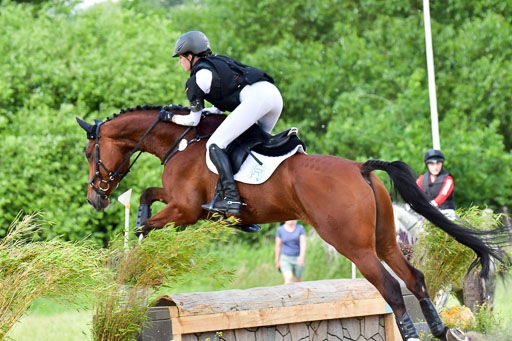 Goldene Schärpe PFerde  in Löningen  11+12.6.22 | 11062022 - Gelände 745 Abt 
