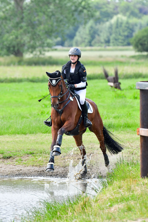 Goldene Schärpe PFerde  in Löningen  11+12.6.22 | 11062022 - Gelände 746 Abt 