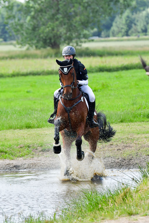 Goldene Schärpe PFerde  in Löningen  11+12.6.22 | 11062022 - Gelände 748 Abt 