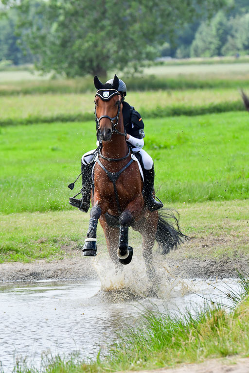 Goldene Schärpe PFerde  in Löningen  11+12.6.22 | 11062022 - Gelände 749 Abt 
