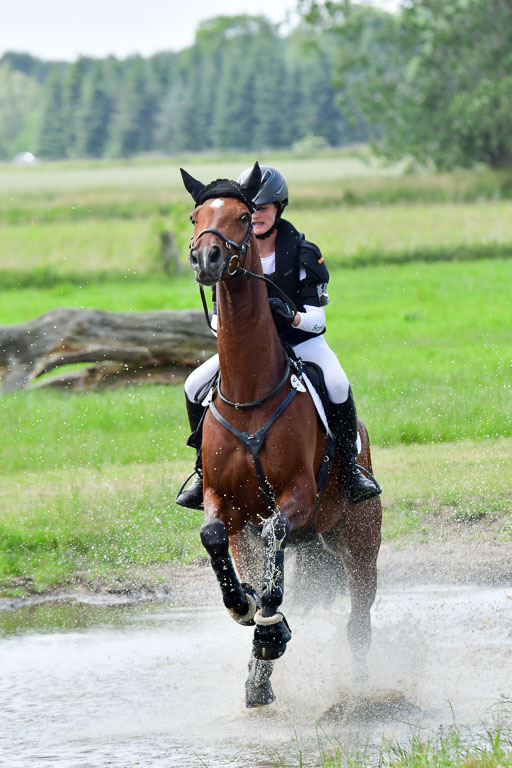 Goldene Schärpe PFerde  in Löningen  11+12.6.22 | 11062022 - Gelände 751 Abt 