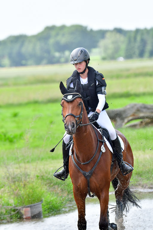 Goldene Schärpe PFerde  in Löningen  11+12.6.22 | 11062022 - Gelände 752 Abt 