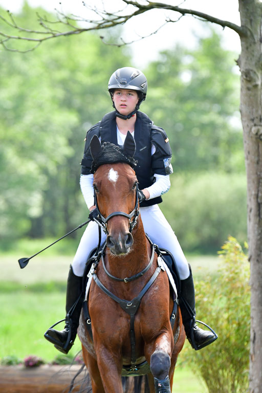 Goldene Schärpe PFerde  in Löningen  11+12.6.22 | 11062022 - Gelände 759 Abt 