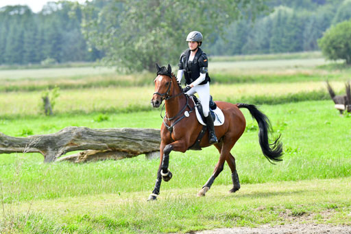 Goldene Schärpe PFerde  in Löningen  11+12.6.22 | 11062022 - Gelände 762 Abt 