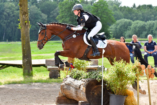 Goldene Schärpe PFerde  in Löningen  11+12.6.22 | 11062022 - Gelände 764 Abt 