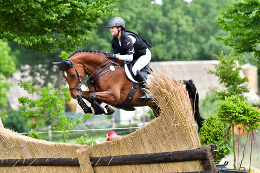 Goldene Schärpe PFerde  in Löningen  11+12.6.22 | 11062022 - Gelände 765 Abt 