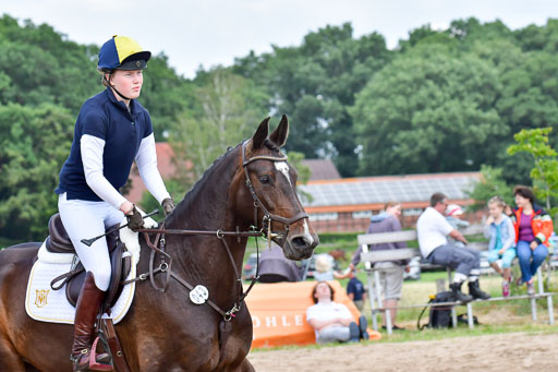 Goldene Schärpe PFerde  in Löningen  11+12.6.22 | 11062022 - Gelände 770 Abt 