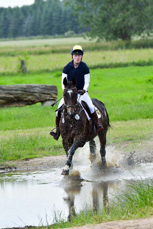 Goldene Schärpe PFerde  in Löningen  11+12.6.22 | 11062022 - Gelände 774 Abt 