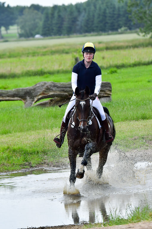 Goldene Schärpe PFerde  in Löningen  11+12.6.22 | 11062022 - Gelände 776 Abt 