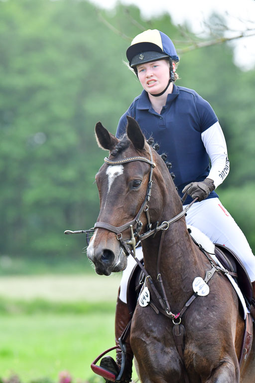 Goldene Schärpe PFerde  in Löningen  11+12.6.22 | 11062022 - Gelände 785 Abt 