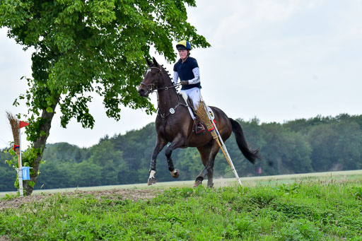 Goldene Schärpe PFerde  in Löningen  11+12.6.22 | 11062022 - Gelände 787 Abt 