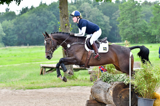 Goldene Schärpe PFerde  in Löningen  11+12.6.22 | 11062022 - Gelände 788 Abt 