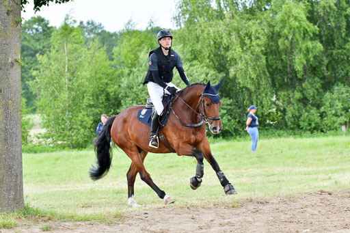 Goldene Schärpe PFerde  in Löningen  11+12.6.22 | 11062022 - Gelände 792 Abt 